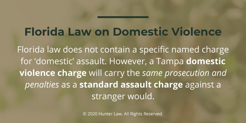 Callout 2- Text: Florida Law on Domestic Violence